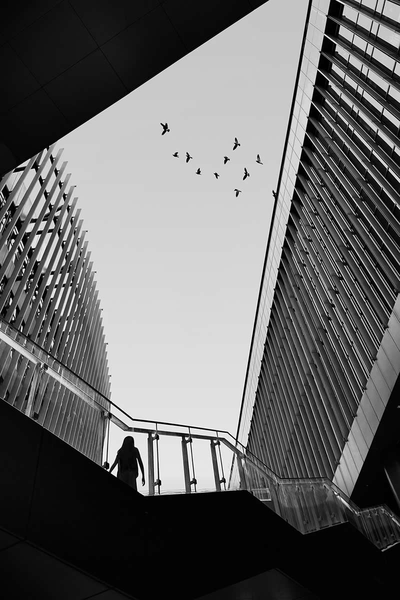 Shot on Phones: 33 Amazing Silhouette Photos That Redefine Mobile Photography 57 Upward by Kunhua Chen - Mobile Photography Awards Silhouettes Winners