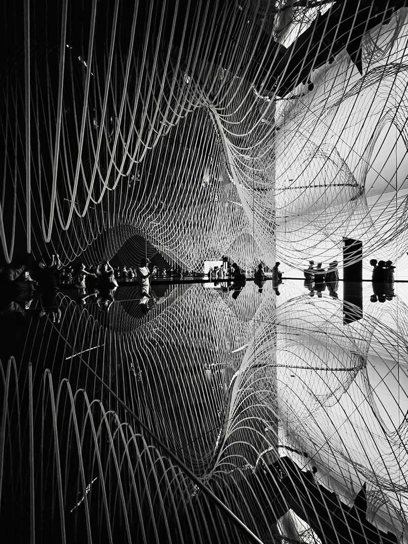 Shot on Phones: 33 Amazing Silhouette Photos That Redefine Mobile Photography 65 Line by Feipeng Nie - Mobile Photography Awards Silhouettes Winners