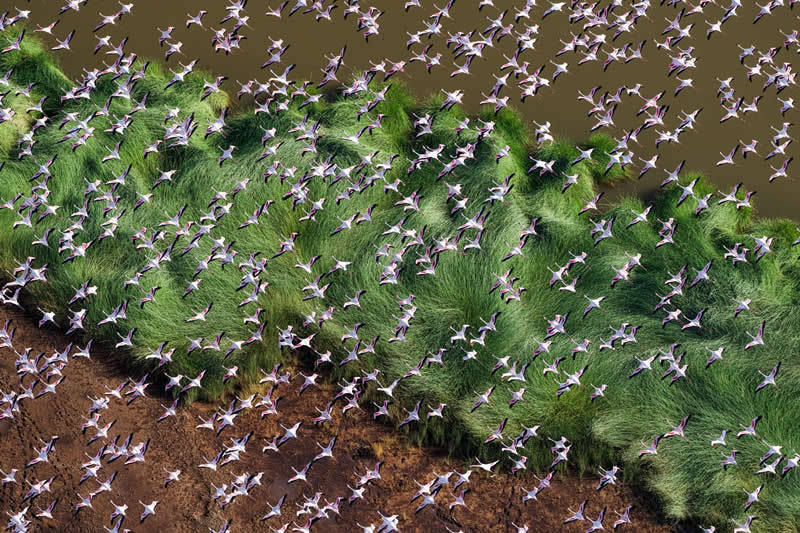 Nature&rsquo;s Geometry: Chasing Patterns Shaped by Wind and Waves - National Geographic Wildlife Photography