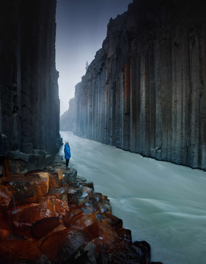 Nature Photos by Karol Nienartowicz