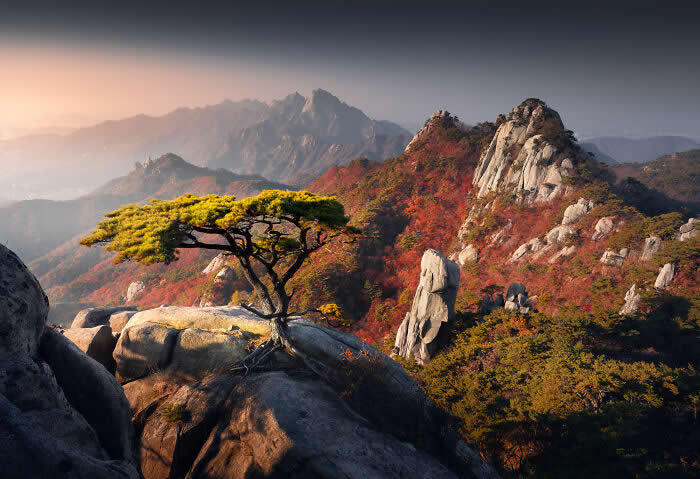 Nature Photos by Karol Nienartowicz