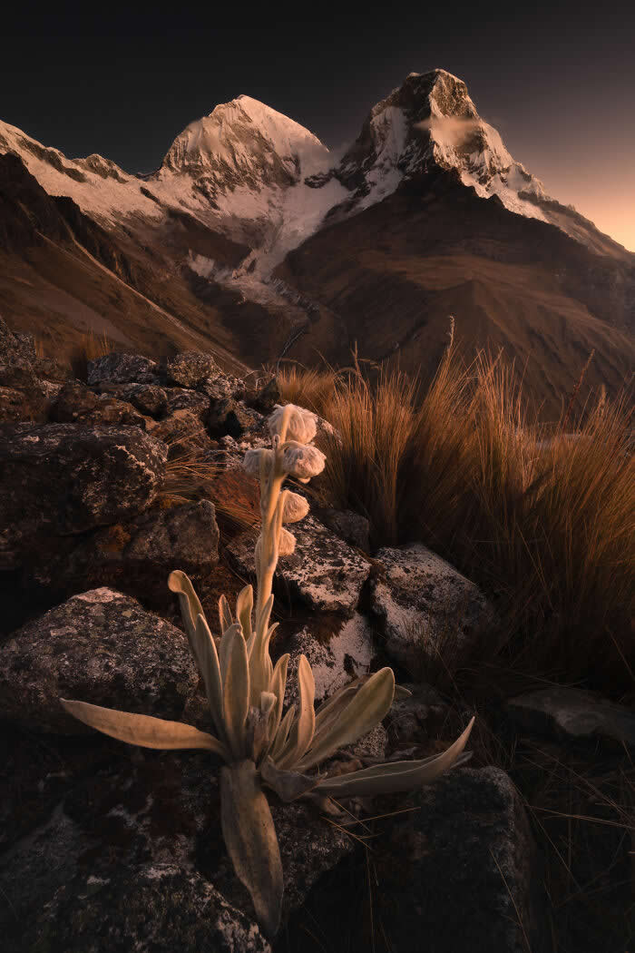 Nature Photos by Karol Nienartowicz