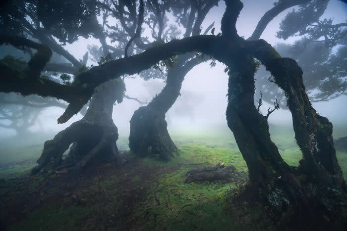 Nature Photos by Karol Nienartowicz