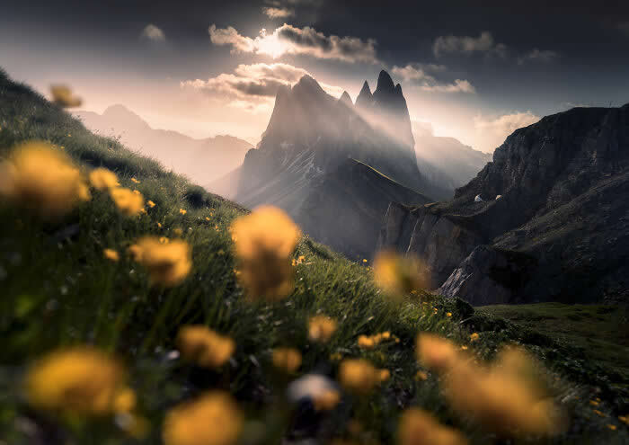 Nature Photos by Karol Nienartowicz