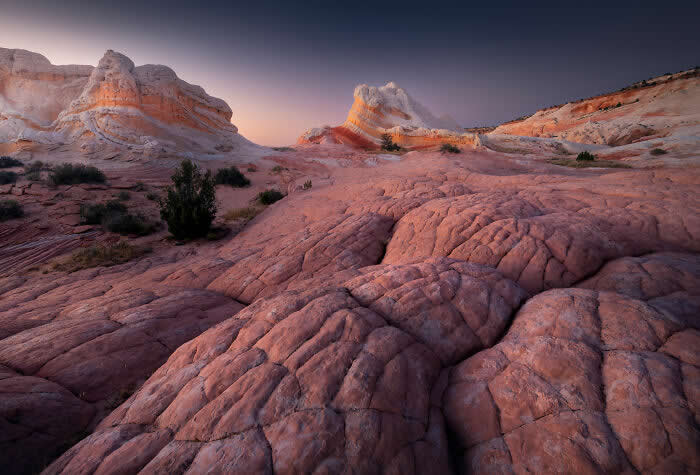 Nature Photos by Karol Nienartowicz