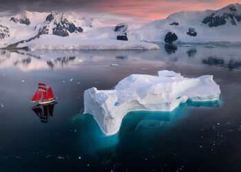 Nature Photos by Karol Nienartowicz