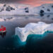 Nature Photos by Karol Nienartowicz
