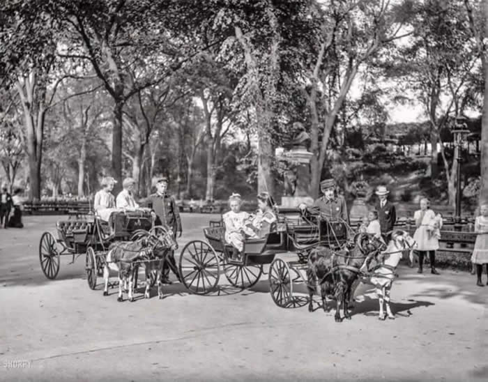 Goat Carriages in Central Park, New York, in 1904.