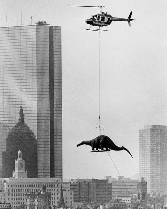 Delivering dinosaurs for exhibit at the Boston Museum of Science, 1984.
