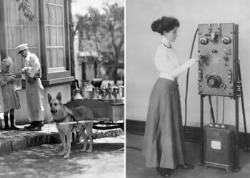 Powerful Historical Photos That Bring Forgotten Moments Back to Life