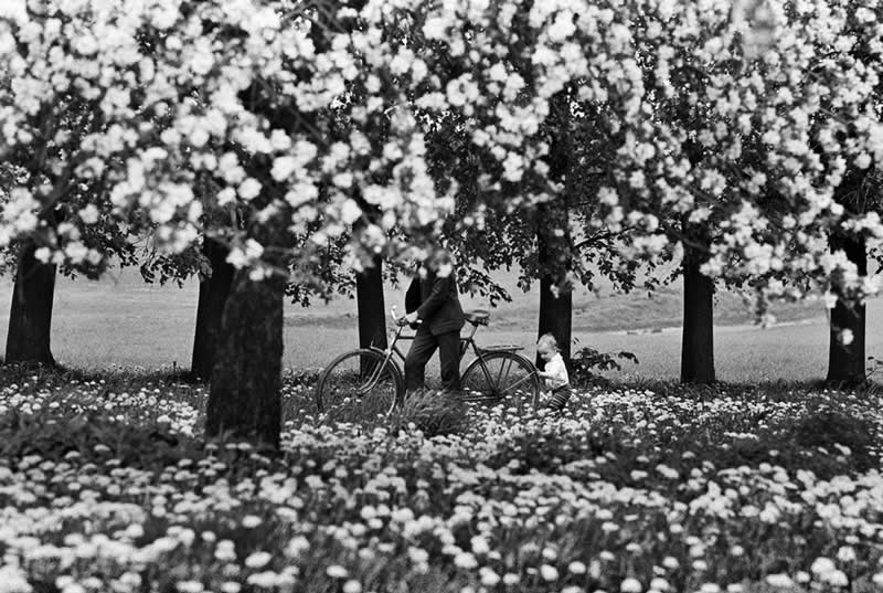 Master Photographer Romualdas Rakauskas: The Poet Who Found Beauty in Everyday Life 39 Master Photographer Romualdas Rakauskas Beauty in Everyday Life