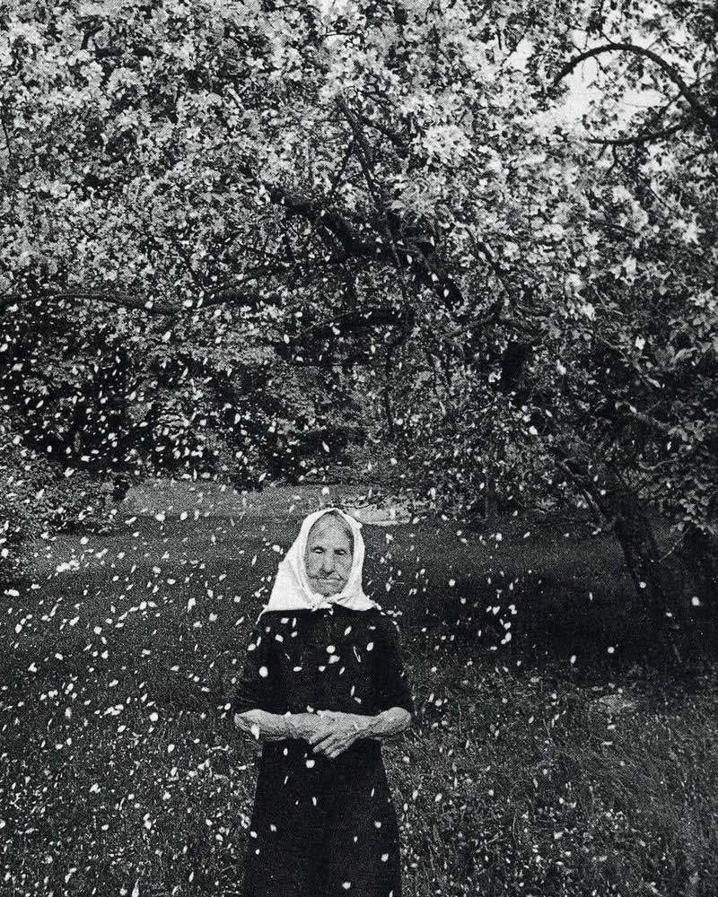 Master Photographer Romualdas Rakauskas: The Poet Who Found Beauty in Everyday Life 41 Master Photographer Romualdas Rakauskas Beauty in Everyday Life