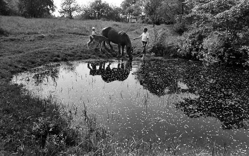 Master Photographer Romualdas Rakauskas: The Poet Who Found Beauty in Everyday Life 52 Master Photographer Romualdas Rakauskas Beauty in Everyday Life