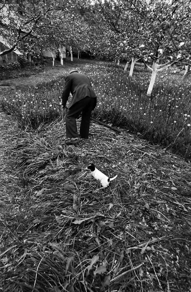 Master Photographer Romualdas Rakauskas: The Poet Who Found Beauty in Everyday Life 61 Master Photographer Romualdas Rakauskas Beauty in Everyday Life