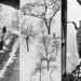 The Soul of Black and White: 35 Historic Photos That Still Inspire Today 31 Historic Photos That Still Inspire Today