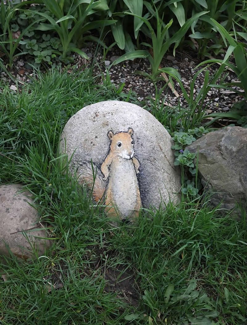 Of the 3,627 nuts he buried last fall, Kevin has found four.
