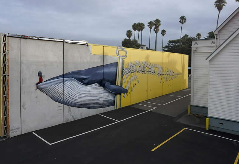 Cetacecan - Napier, New Zealand - Street Art by Seth