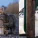 Street Cat Photos by Masayuki Oki That Are Pure Chaos