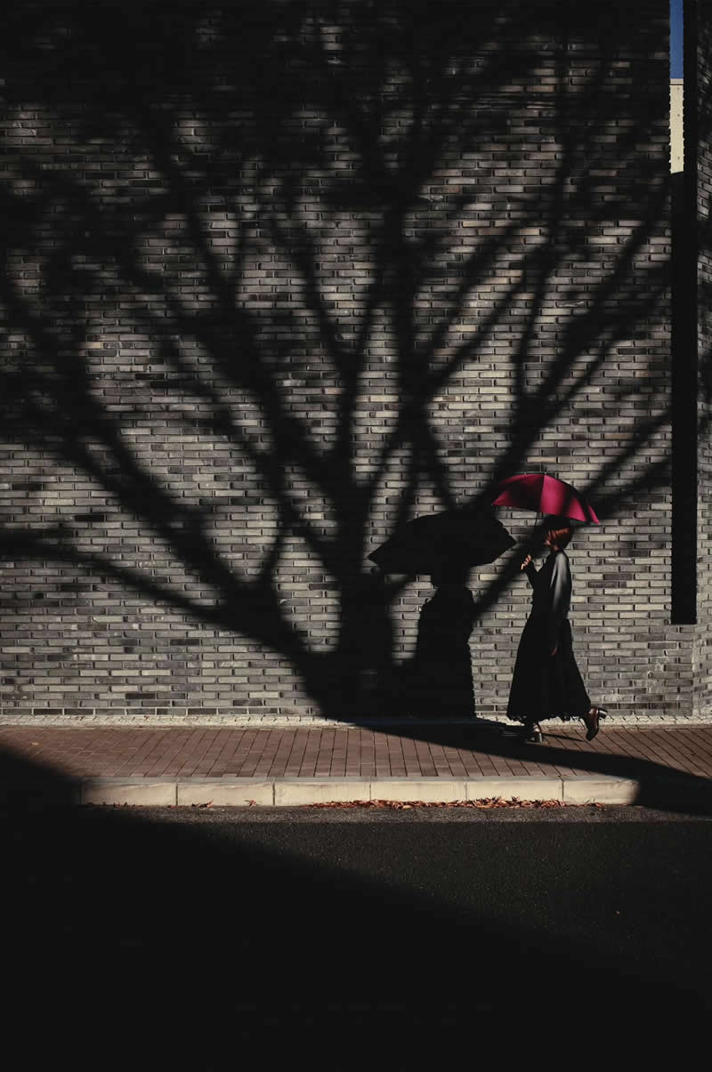 Light and Shadow Street Photos Shoot Like a Pro