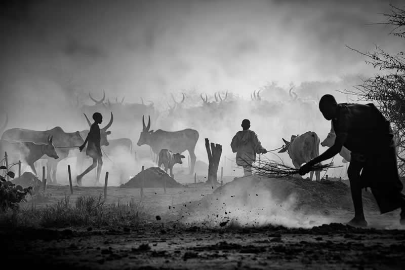 Mundari's Life by Svetlin Yosifov, Bulgaria - Artist Gallery Awards Black and White Winners