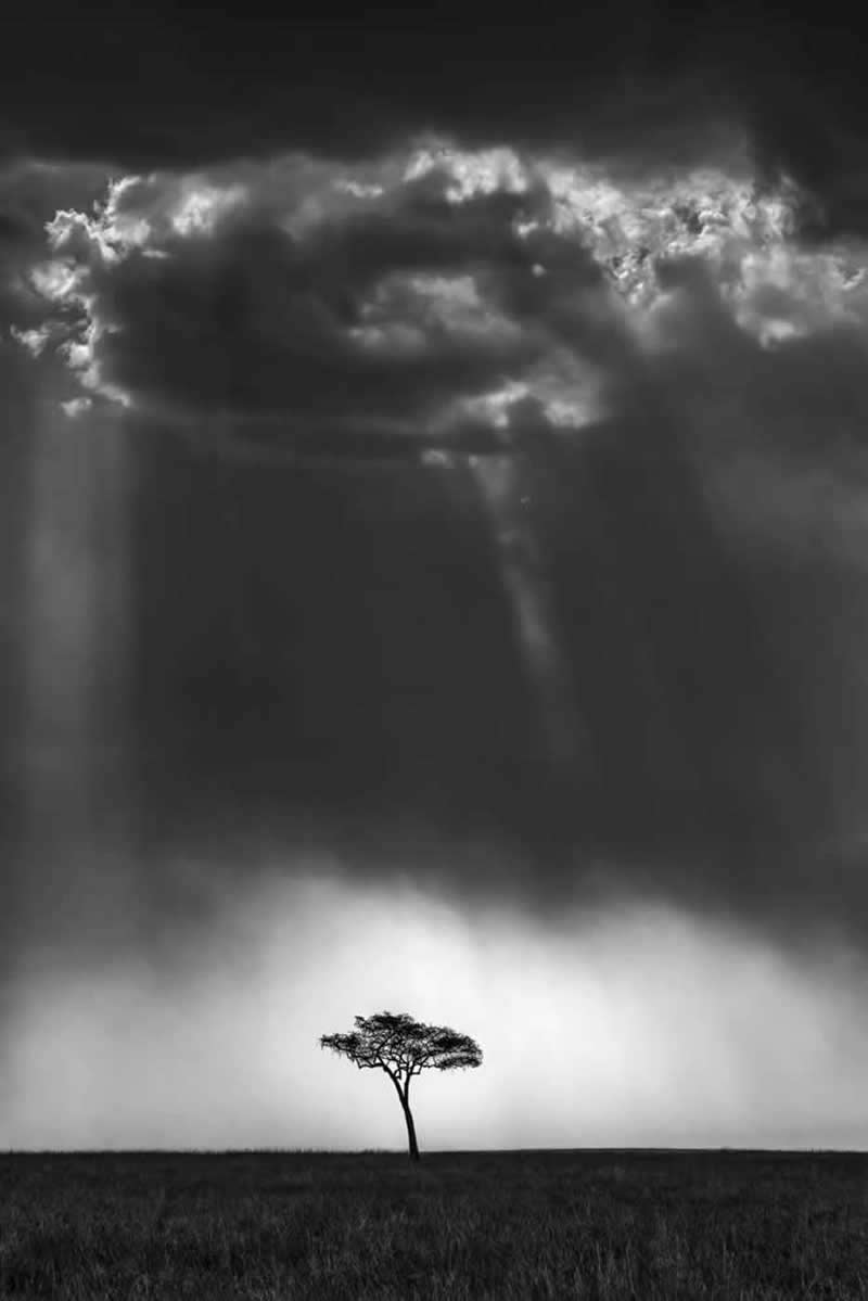 Skyfall by Preeti and Prashant Chacko, United Arab Emirates - Artist Gallery Awards Black and White Winners