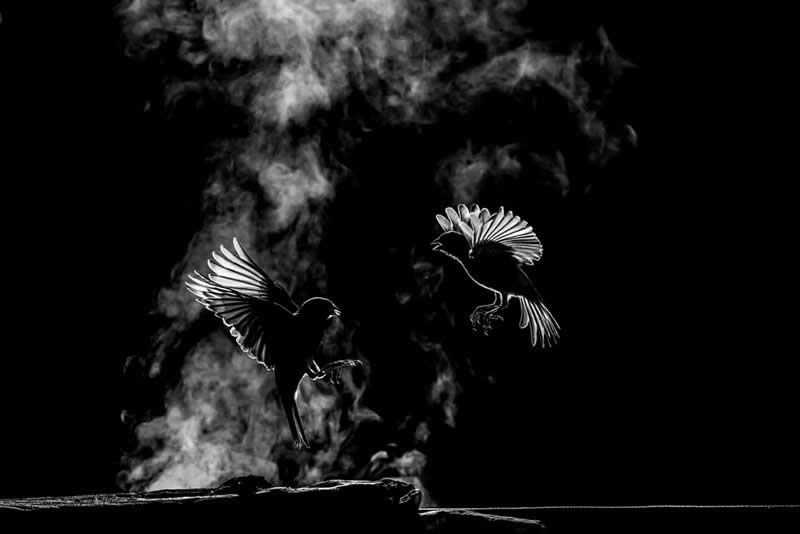 Backlight Ritual by Luisa Lynch, Spain - Artist Gallery Awards Black and White Winners