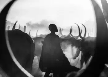 Artist Gallery Awards Black and White Winners