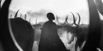 Artist Gallery Awards Black and White Winners
