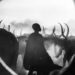 Artist Gallery Awards Black and White Winners