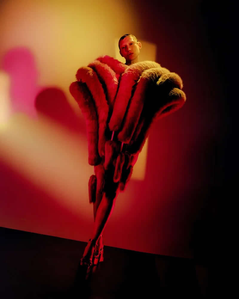 Finalist "At the Edge of Form" by James Morris - The Independent Photographer 2026 Color Winners