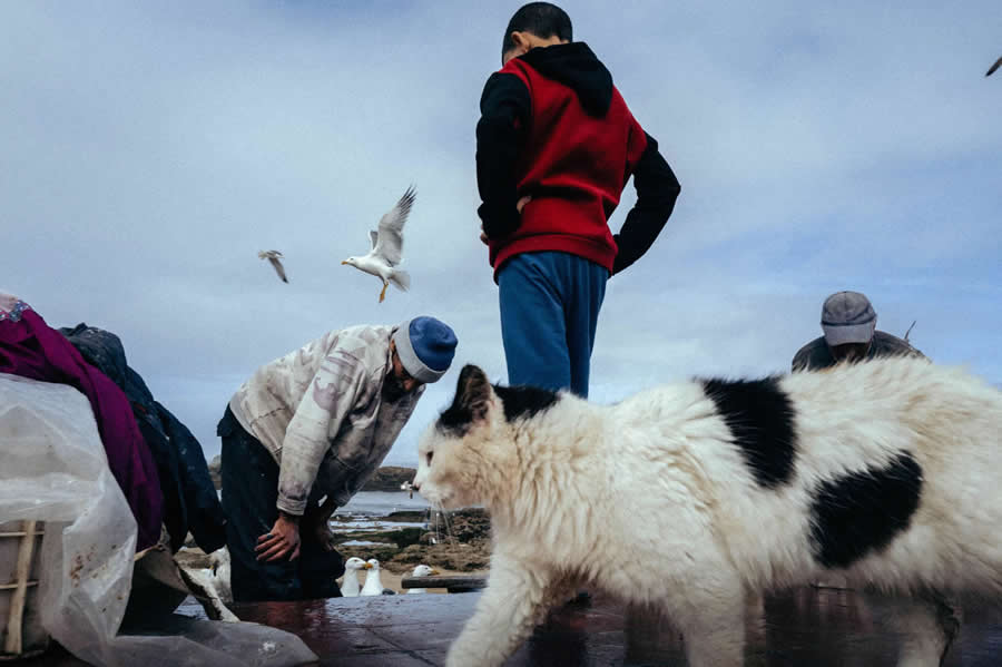 The Independent Photographer Street Photography Winners