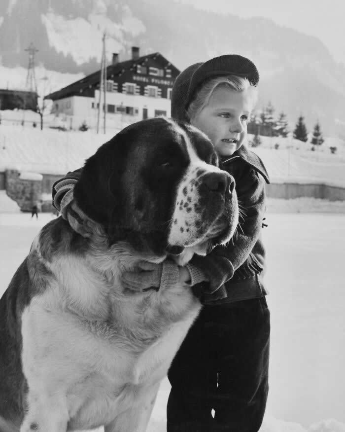 Child With A Saint Bernard Dog, Meg&egrave;ve, 1954 - Photo By Janine Niepce - Vintage Photos of Children