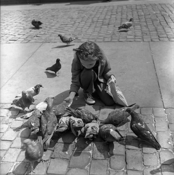 Girl Feeding Pigeons, 1946 - Photo By Harold Feinstein - Vintage Photos of Children