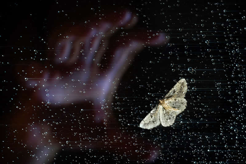 Young Wildlife Photographer of the Year Andrea Dominizi