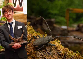 Young Wildlife Photographer of the Year Andrea Dominizi