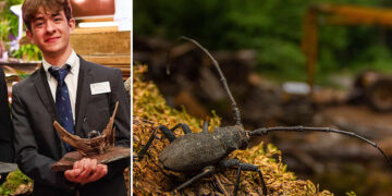 Young Wildlife Photographer of the Year Andrea Dominizi