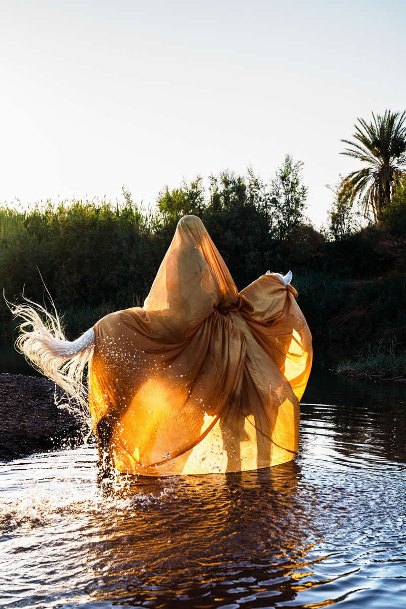 Conceptual - Bronze Winner: Inherited Presence by Sabrina Charehbili - 1839 Awards Color Photography Contest 2026 Winners
