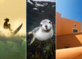 1839 Awards Color Photography Contest 2026 Winners