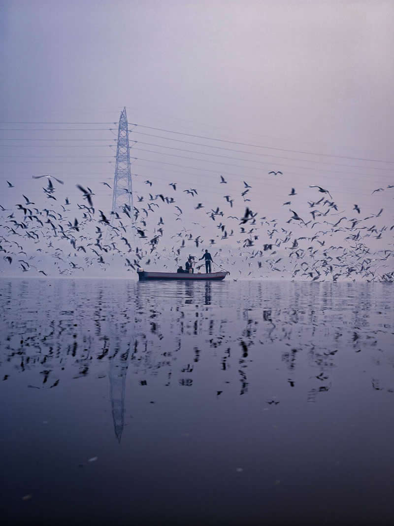 A small boat carrying two people floats on calm water while hundreds of birds fly around it. Soft pastel tones, reflections on the water, and a distant power tower create a tranquil yet dynamic composition filled with movement and atmosphere.