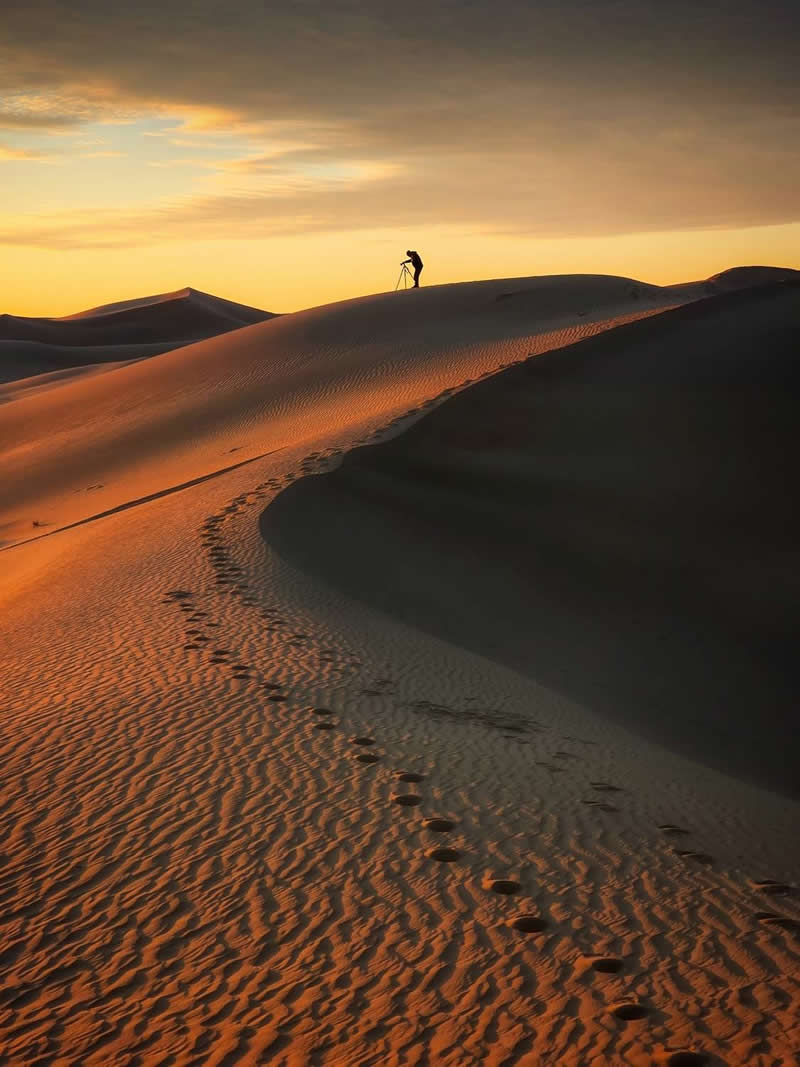 Golden sand dunes stretch across a desert at sunrise or sunset, illuminated by warm light. A trail of footprints curves through the textured sand toward a silhouetted photographer standing on a distant ridge, creating depth, scale, and a serene atmosphere.