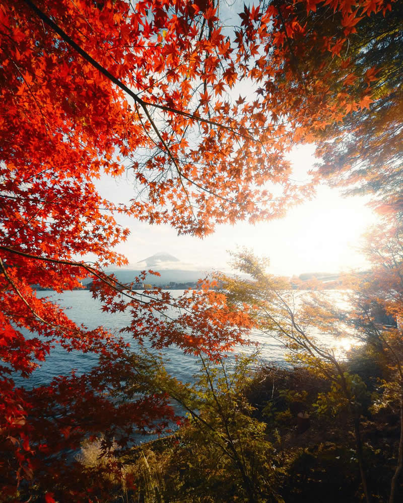 Brilliant red and orange autumn leaves frame a sunlit lake with a distant mountain visible on the horizon. Sunlight filters through the foliage, illuminating the water and surrounding vegetation, creating a vibrant, warm, and beautifully layered landscape composition.