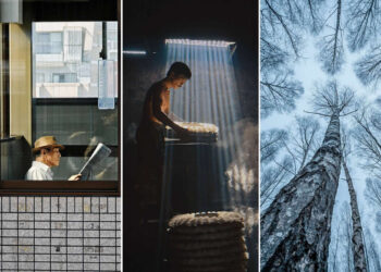 Winners of 35AWARDS Tell Us About the Future of Phone Cameras