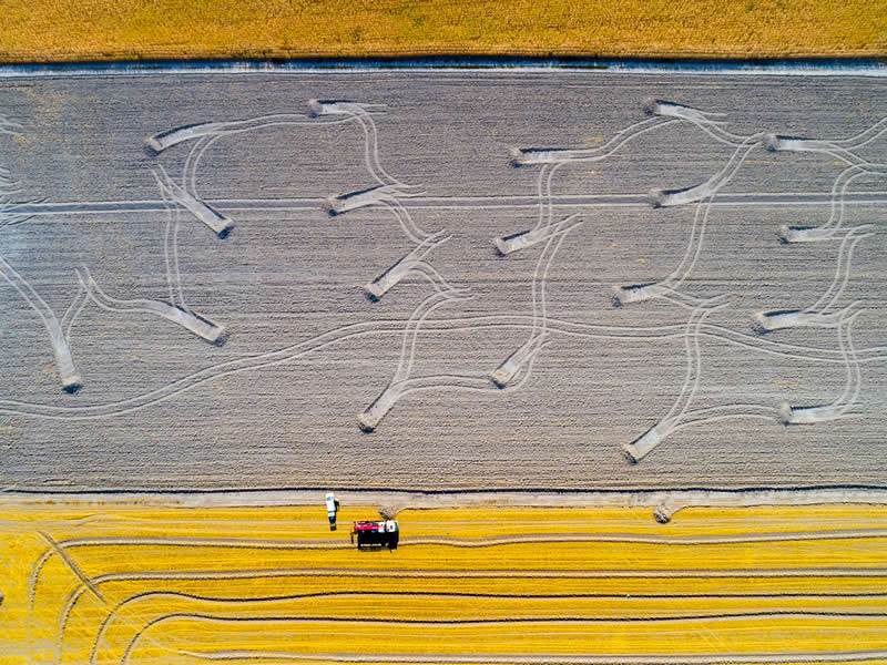  - Academy Photo Awards Nature 2026 Winners