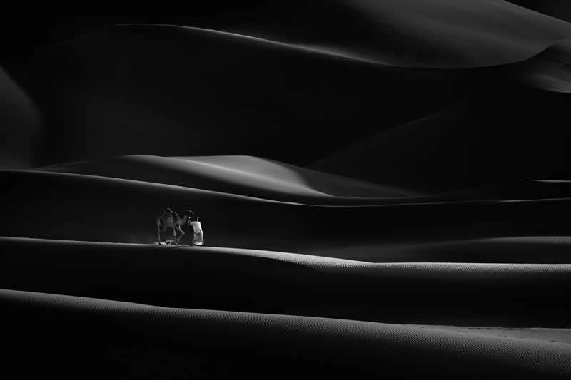  - Academy Photo Awards Nature 2026 Winners