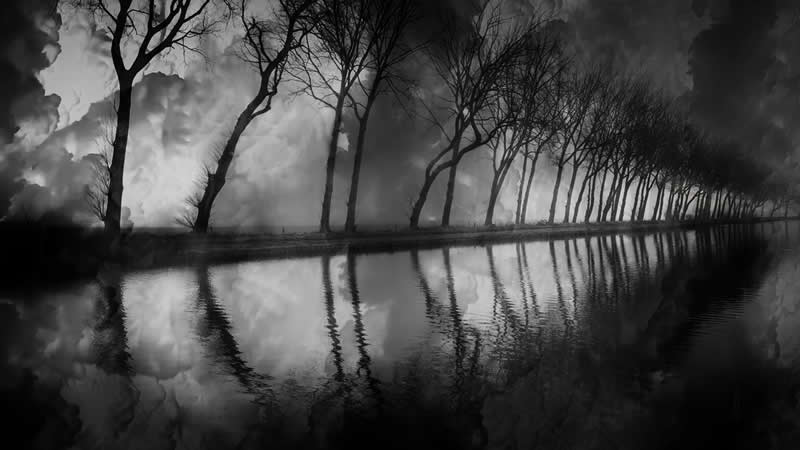  - Academy Photo Awards Nature 2026 Winners