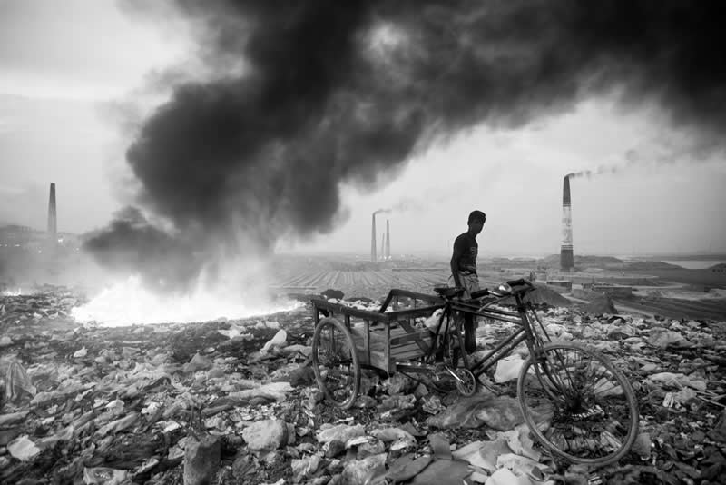  - Academy Photo Awards Nature 2026 Winners