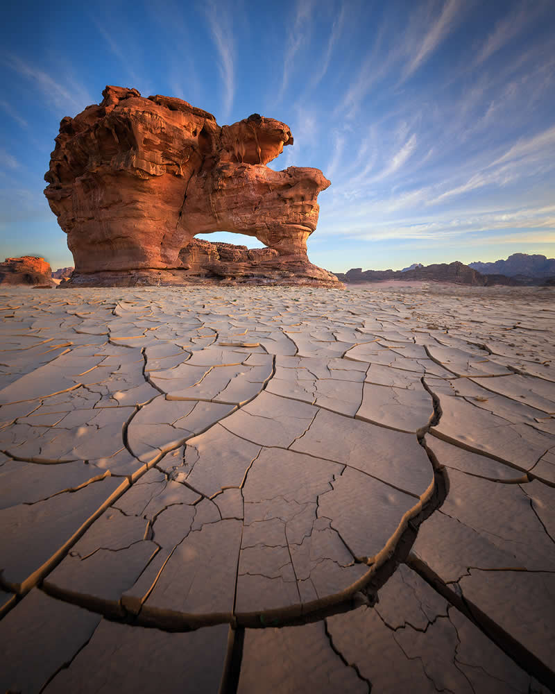  - Academy Photo Awards Nature 2026 Winners