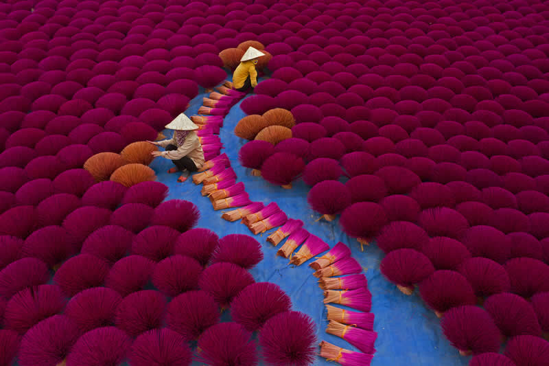  - Academy Photo Awards Nature 2026 Winners