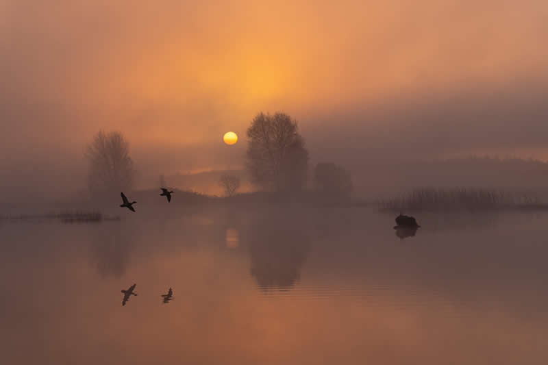  - Academy Photo Awards Nature 2026 Winners