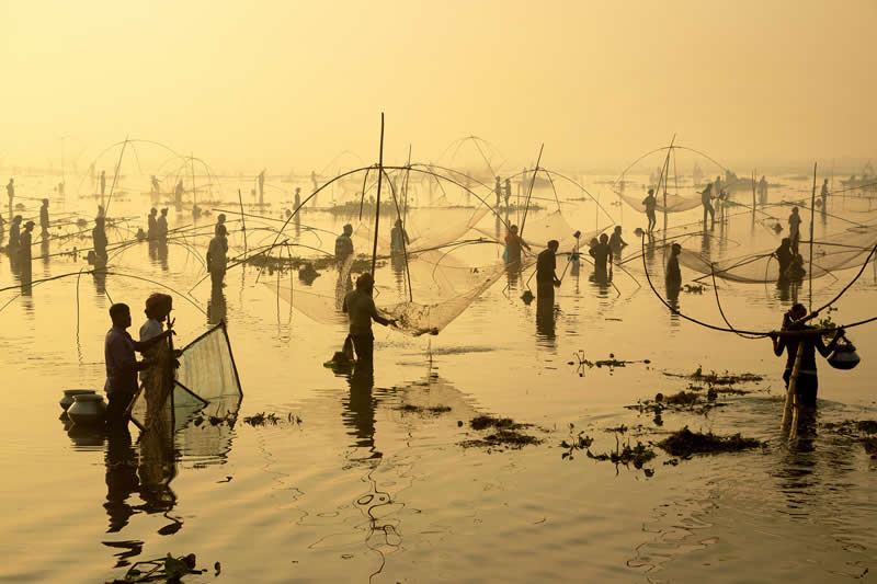  - Academy Photo Awards Nature 2026 Winners